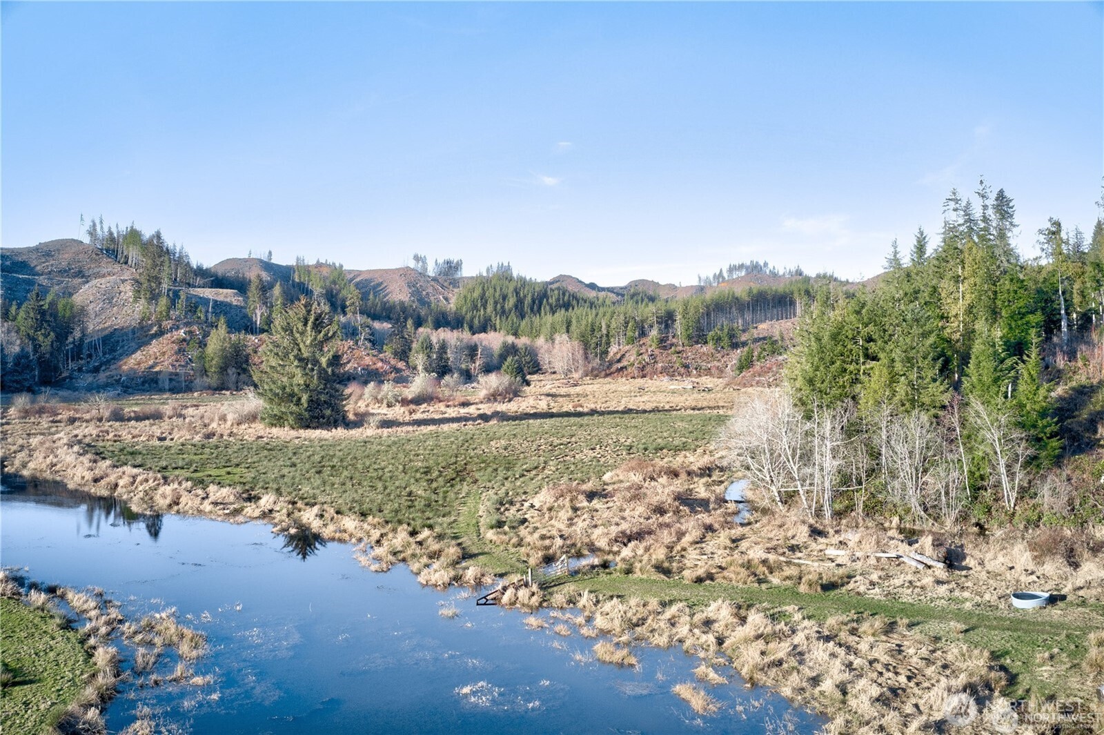 -xx West Deep River Road Naselle, WA 98638 - Photo 17 of 22 a view of a town with trees around