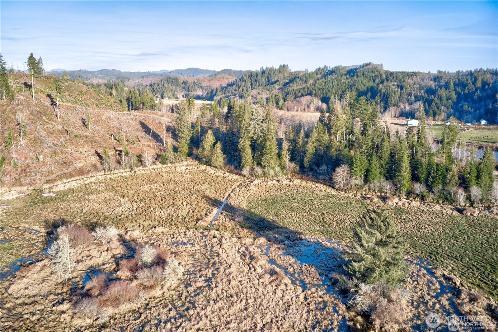 -xx West Deep River Road Naselle, WA 98638 - Photo 19 of 22 a view of a yard with a mountain