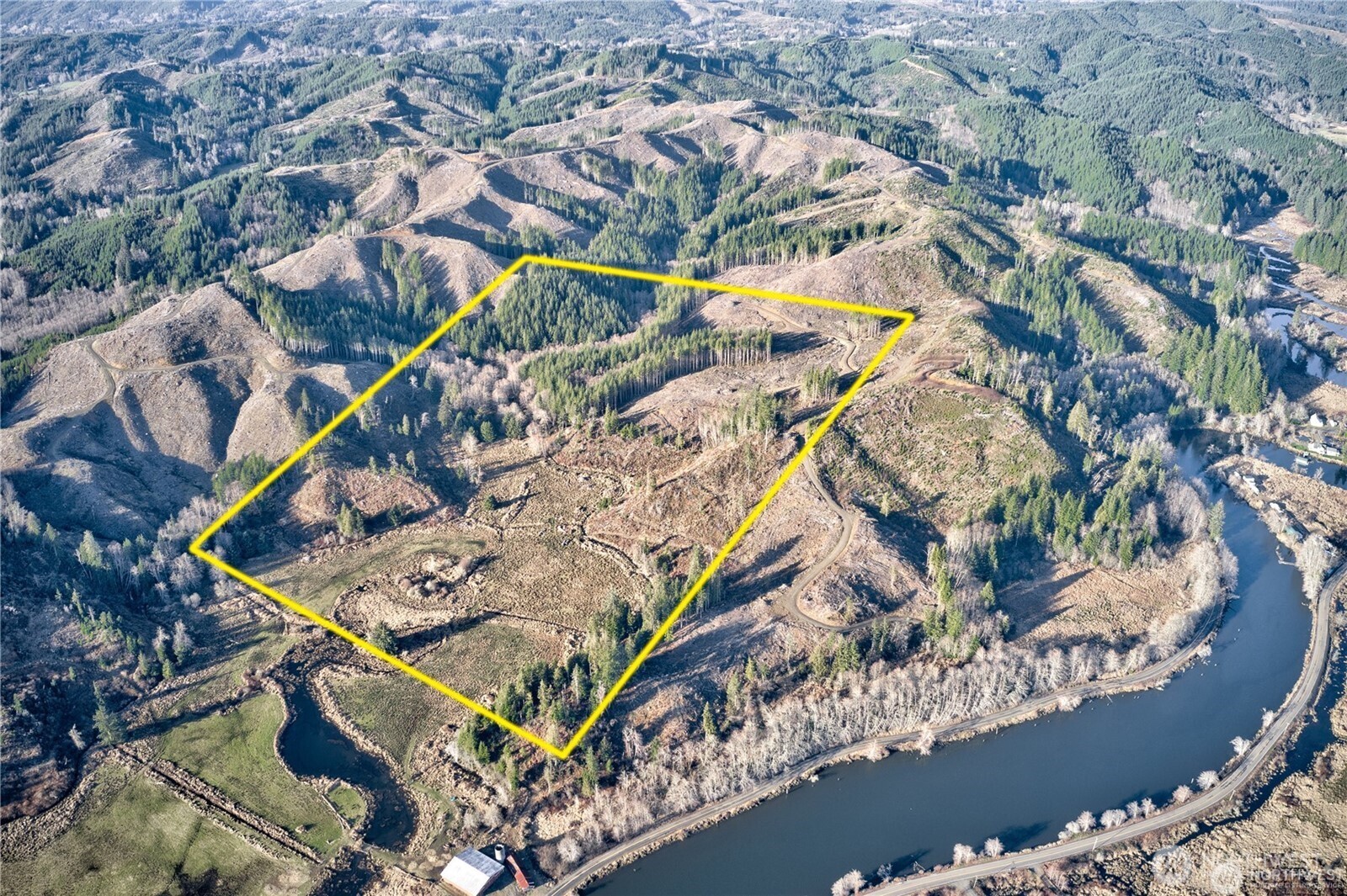 -xx West Deep River Road Naselle, WA 98638 - Photo 3 of 22 view of a wooden floor with a tree