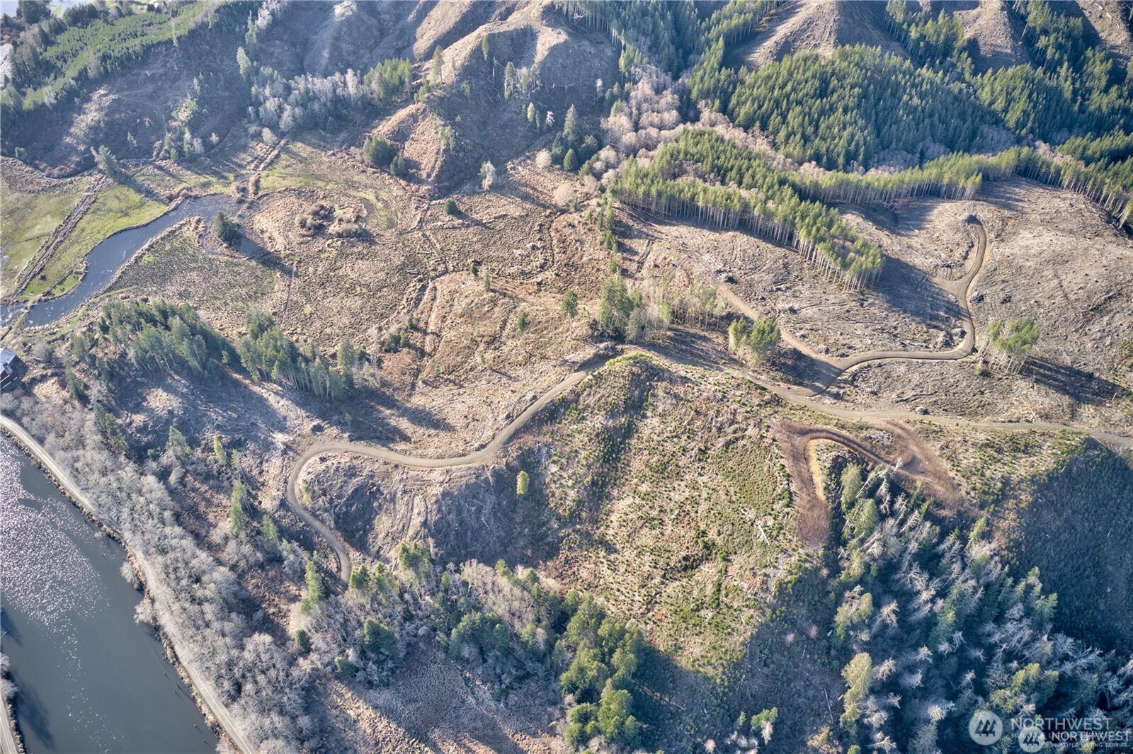 -xx West Deep River Road Naselle, WA 98638 - Photo 5 of 22 a backyard of a house