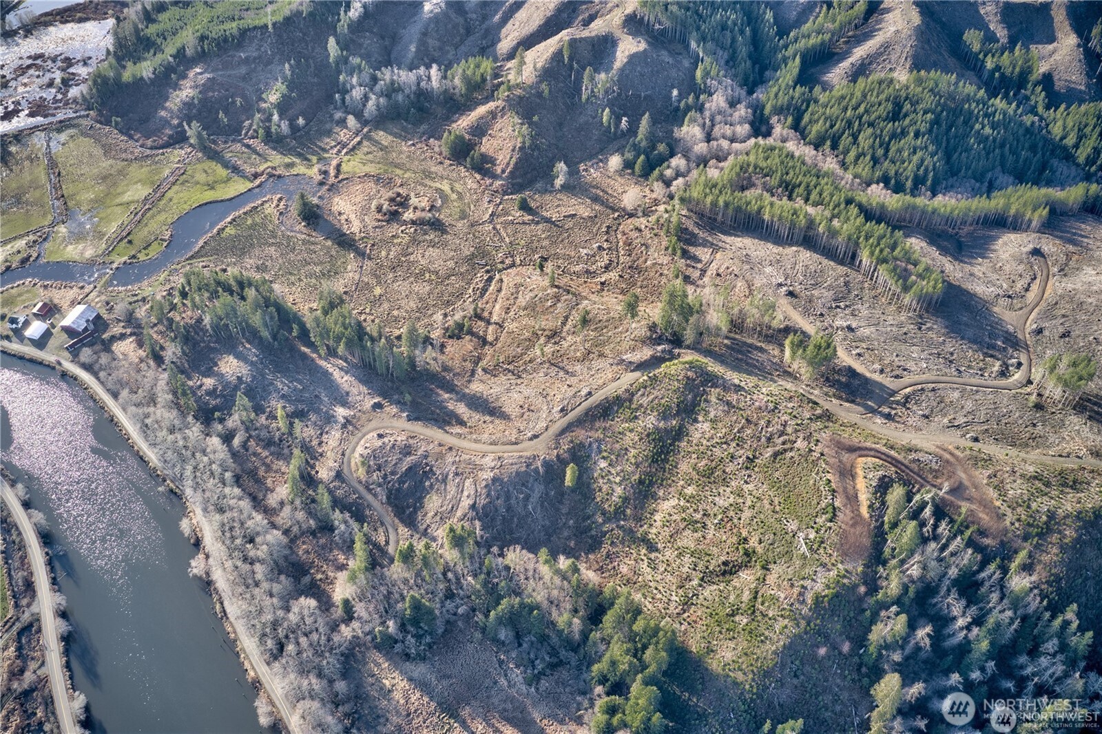 -xx West Deep River Road Naselle, WA 98638 - Photo 6 of 22 a view of a tree with a yard