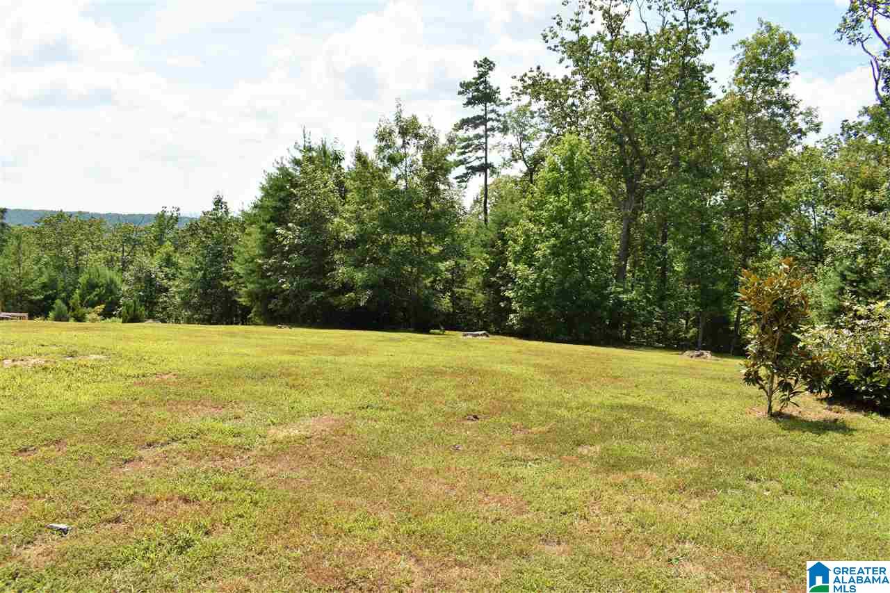 496 Valley View Lane Remlap, AL 35133 - Photo 10 of 41