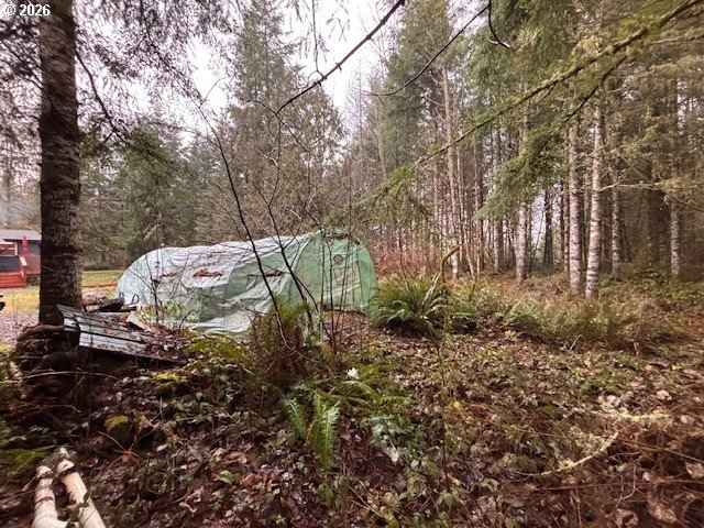 121 Atmore Road Toutle, WA 98649 - Photo 37 of 39