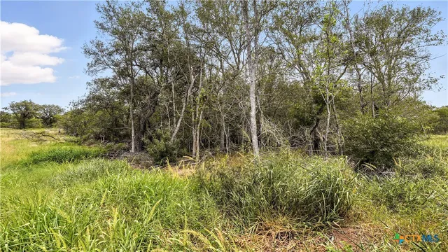 $1,350,000 | 6246 Farm To Market 108 South, Cost, TX 78614