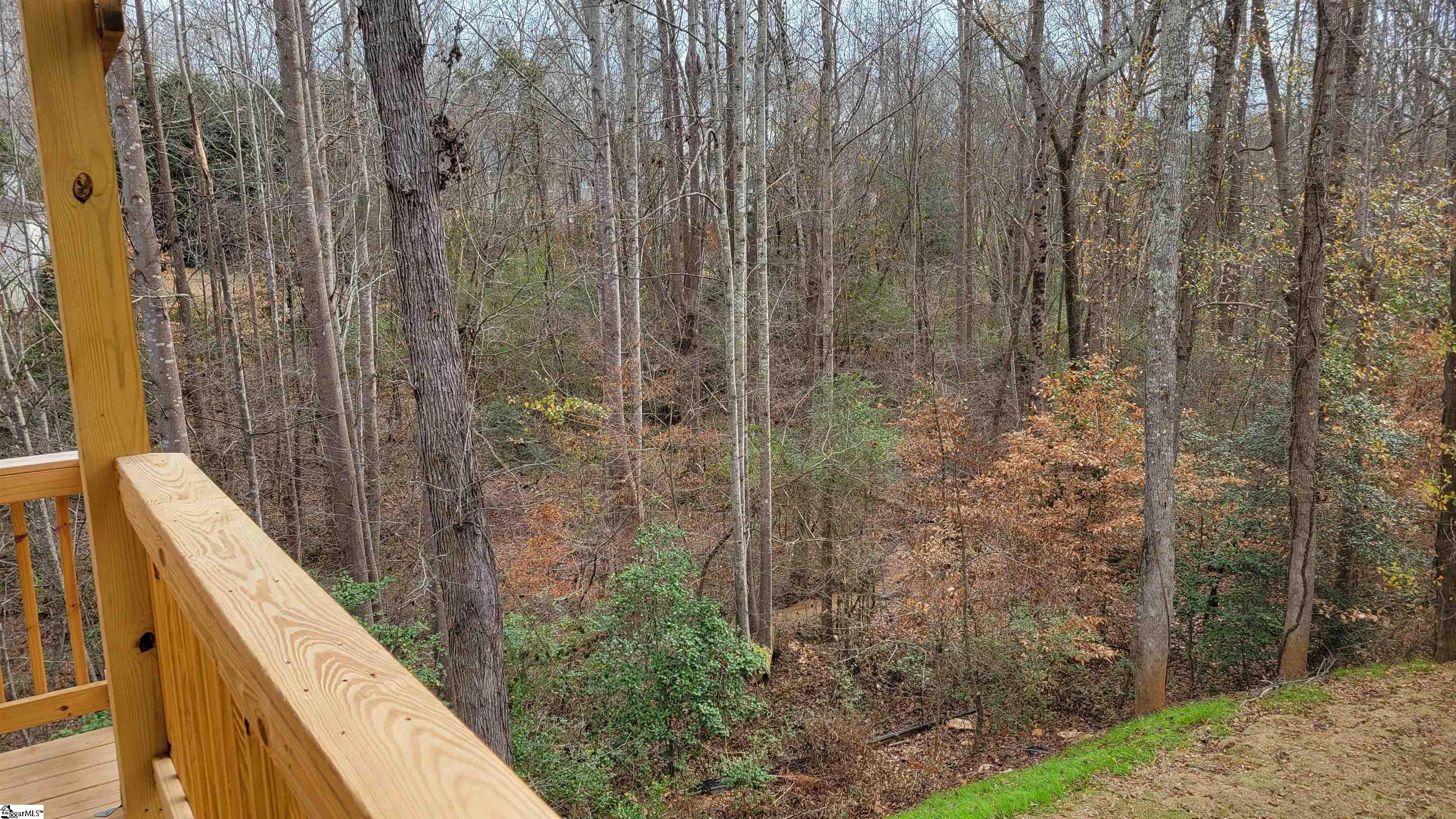 55 Leafmore Court Simpsonville, SC 29680 - Photo 3 of 34