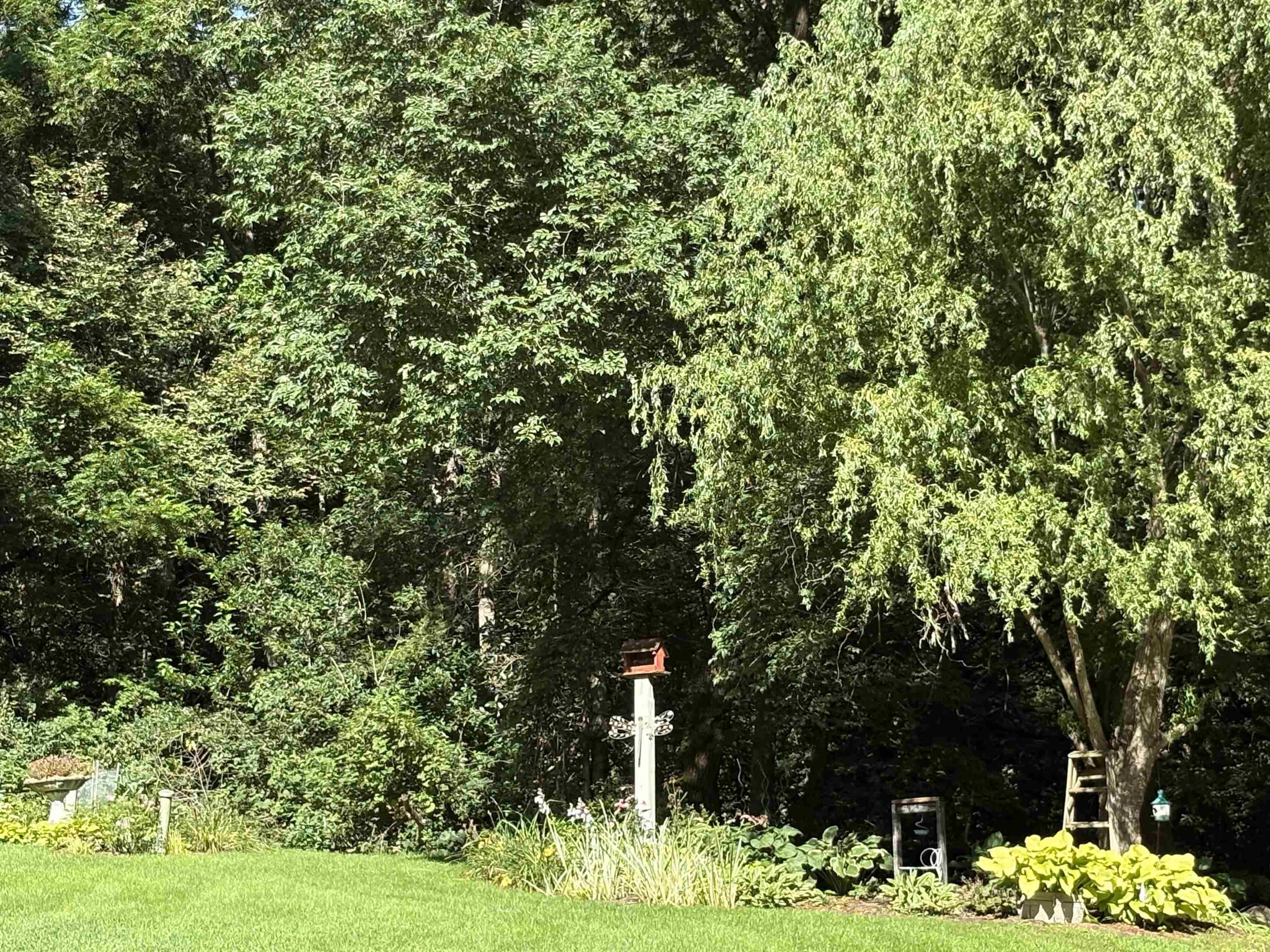 62834 Collins Lane Prairie du Chien, WI 53821 - Photo 8 of 24