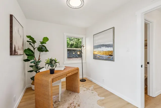 a living room with furniture and a potted plant