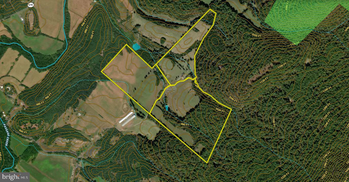 Cold Spring Hollow Lane Fort Valley, VA 22652 - Photo 102 of 106