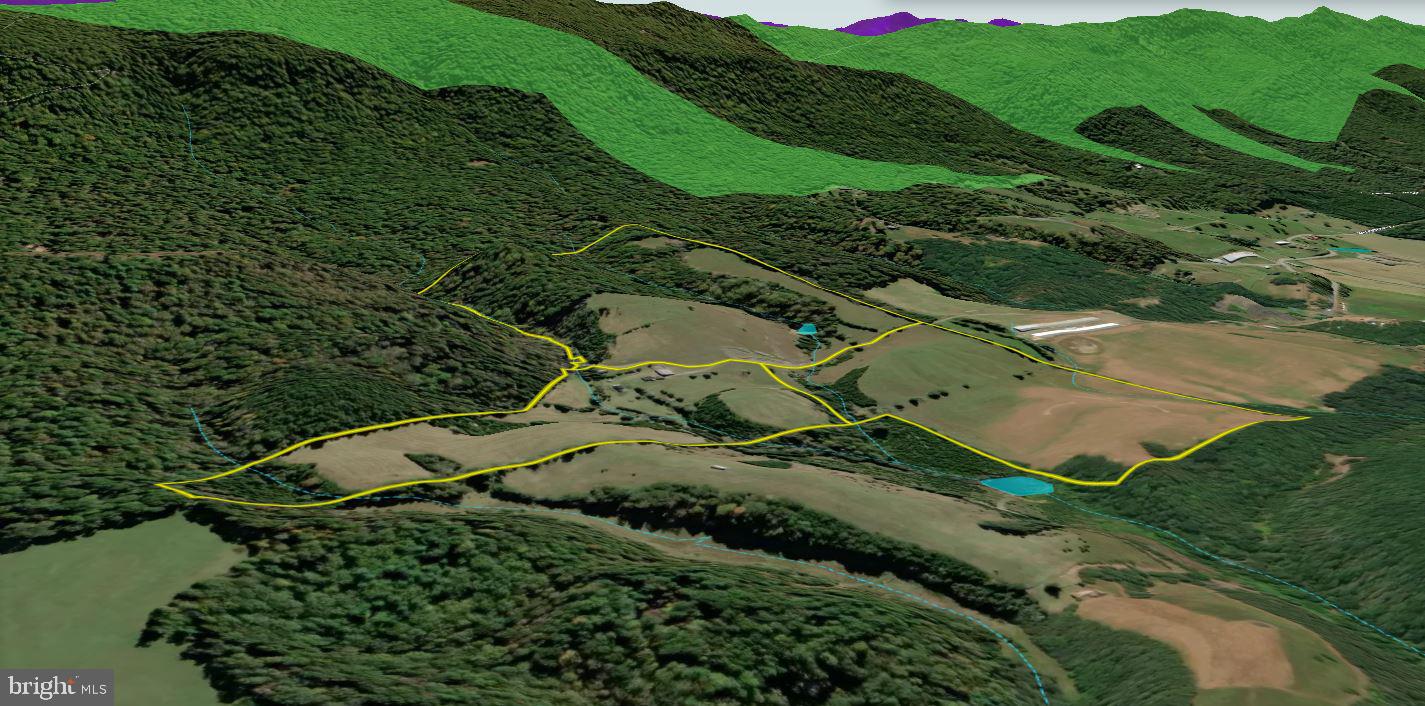Cold Spring Hollow Lane Fort Valley, VA 22652 - Photo 105 of 106