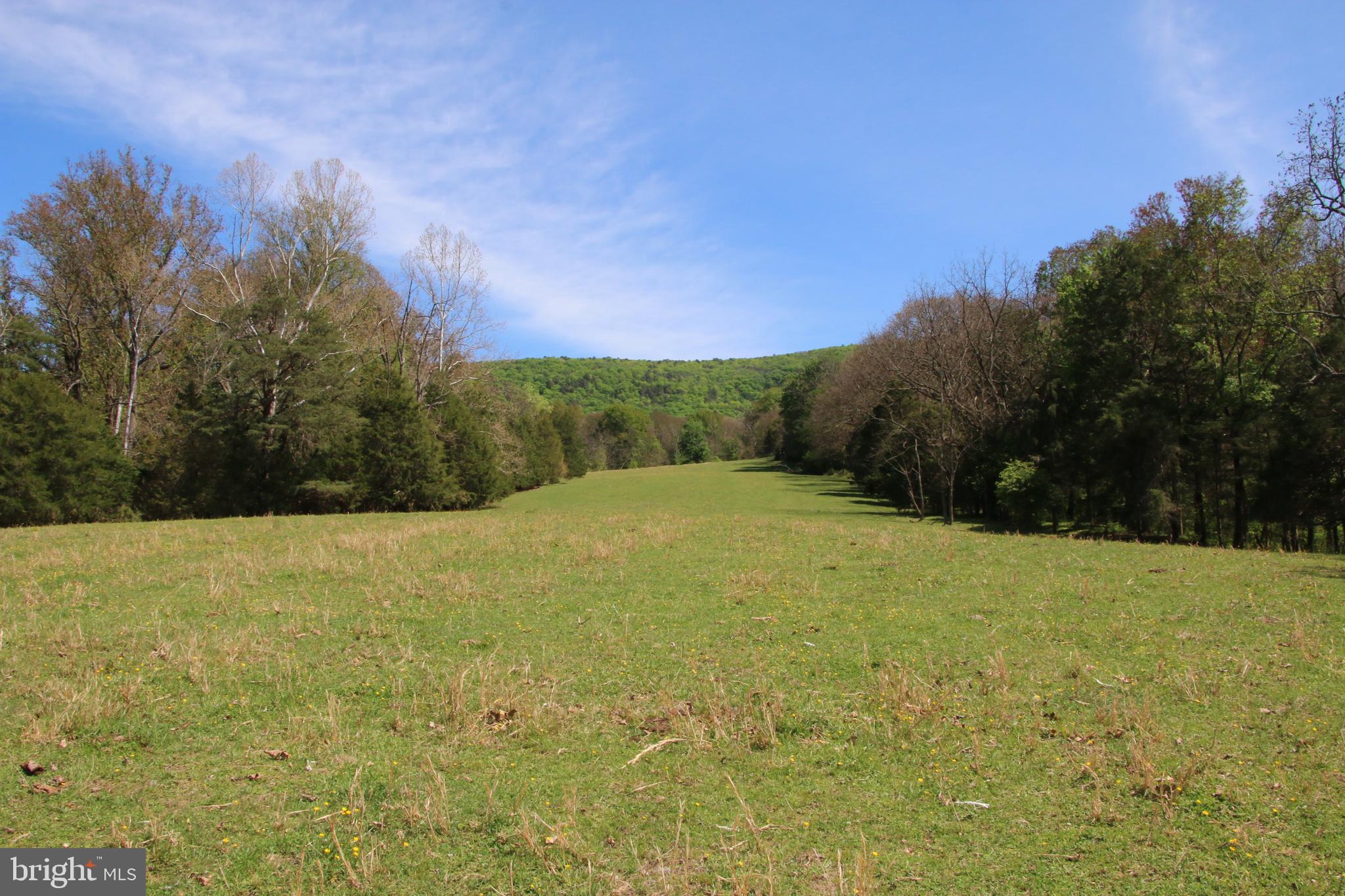 Cold Spring Hollow Lane Fort Valley, VA 22652 - Photo 14 of 106
