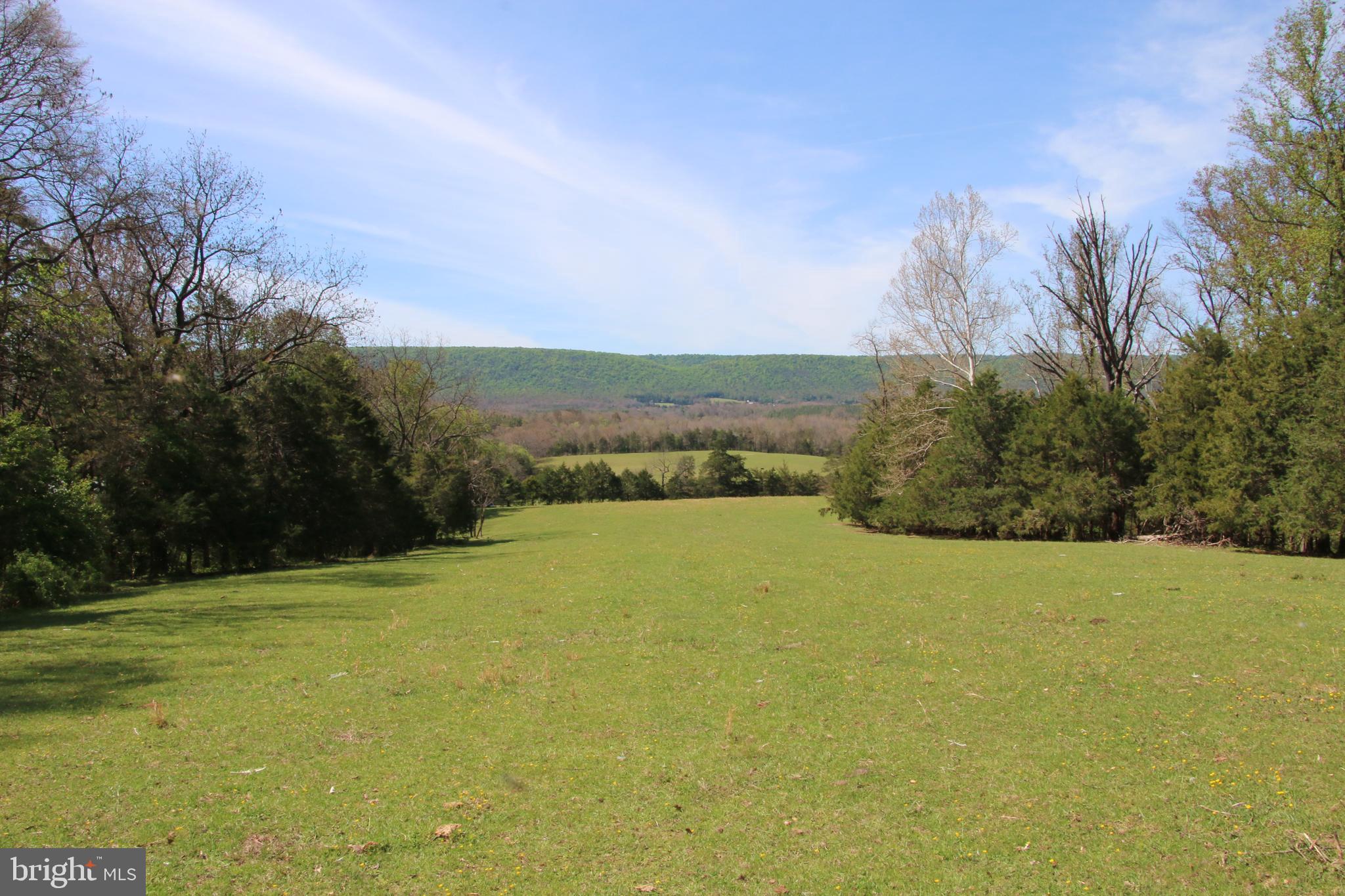 Cold Spring Hollow Lane Fort Valley, VA 22652 - Photo 16 of 106