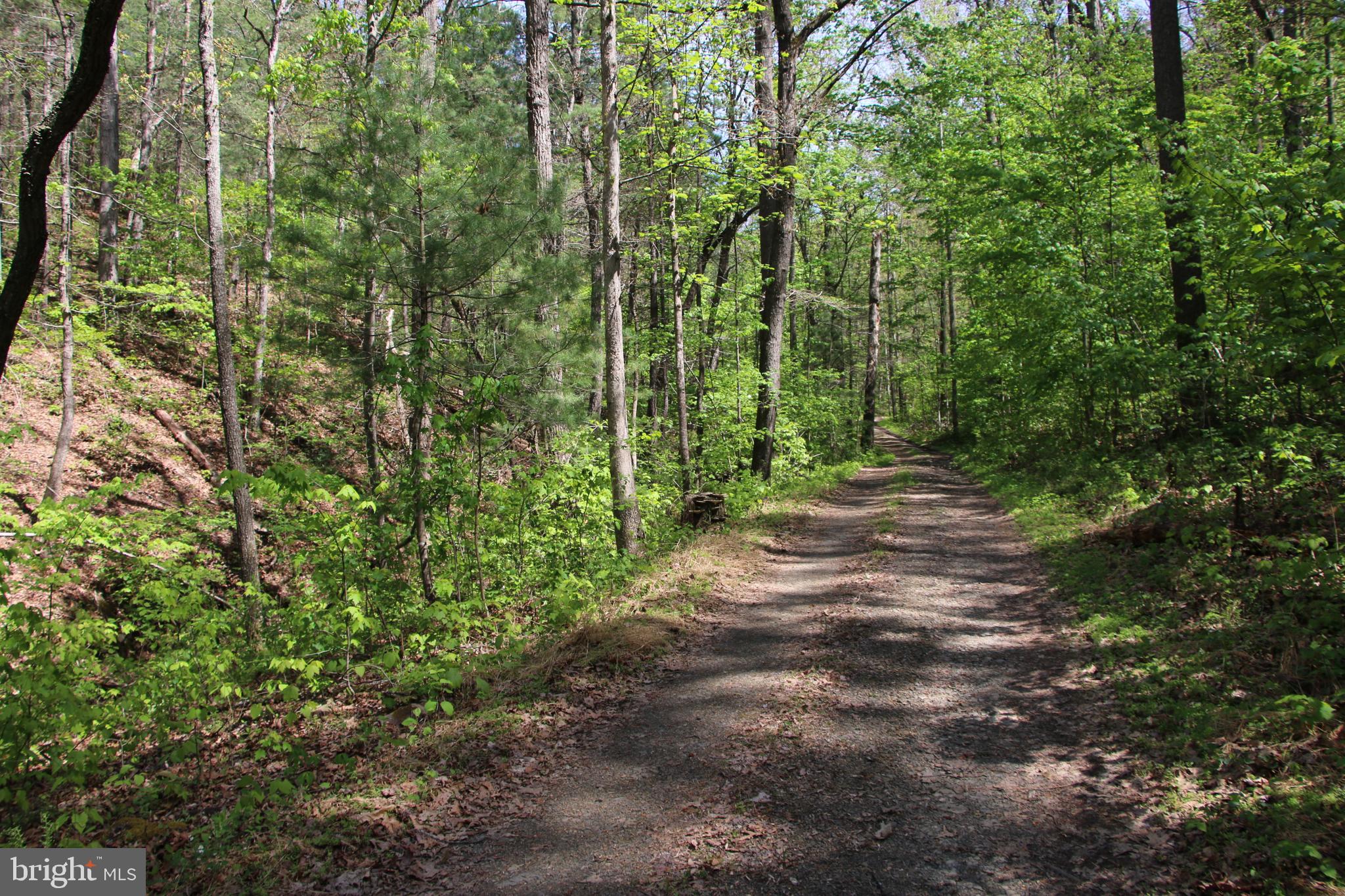 Cold Spring Hollow Lane Fort Valley, VA 22652 - Photo 17 of 106