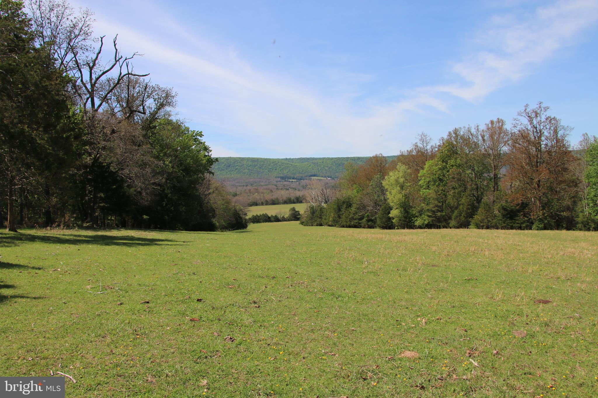 Cold Spring Hollow Lane Fort Valley, VA 22652 - Photo 18 of 106