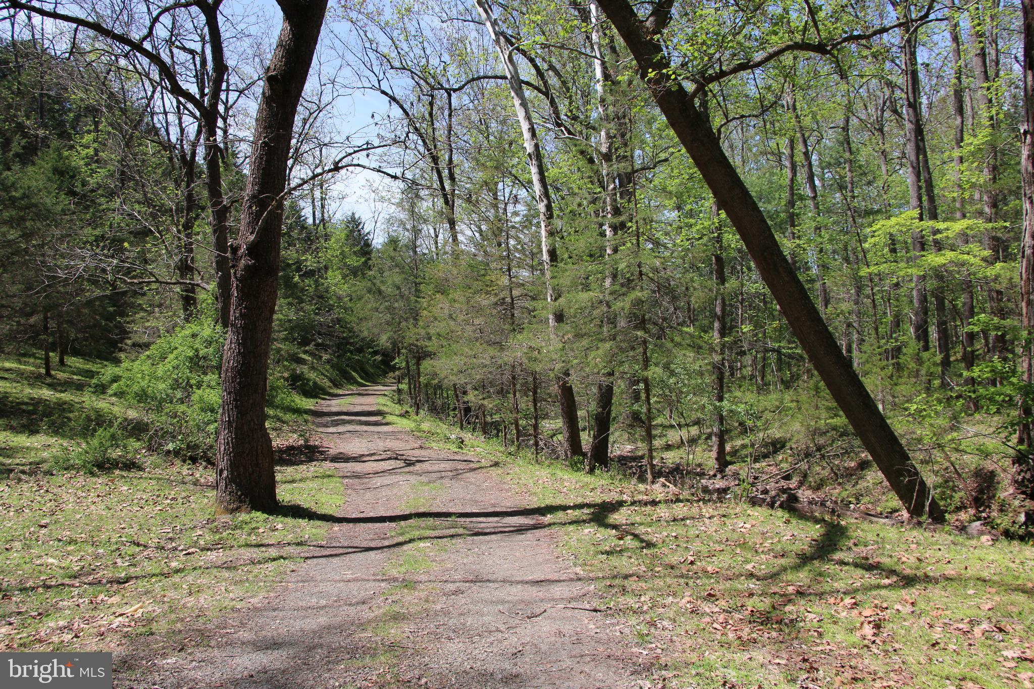 Cold Spring Hollow Lane Fort Valley, VA 22652 - Photo 19 of 106