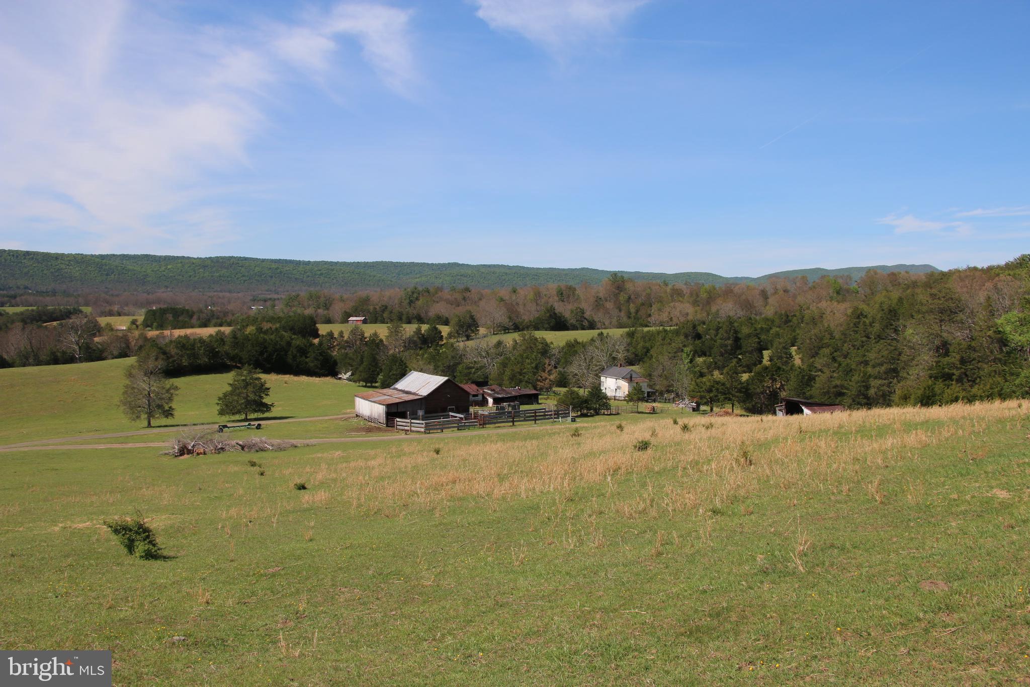 Cold Spring Hollow Lane Fort Valley, VA 22652 - Photo 2 of 106