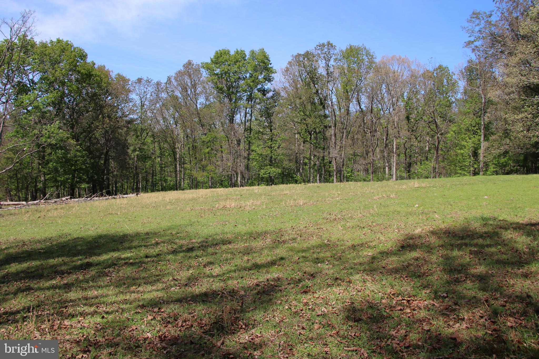 Cold Spring Hollow Lane Fort Valley, VA 22652 - Photo 22 of 106