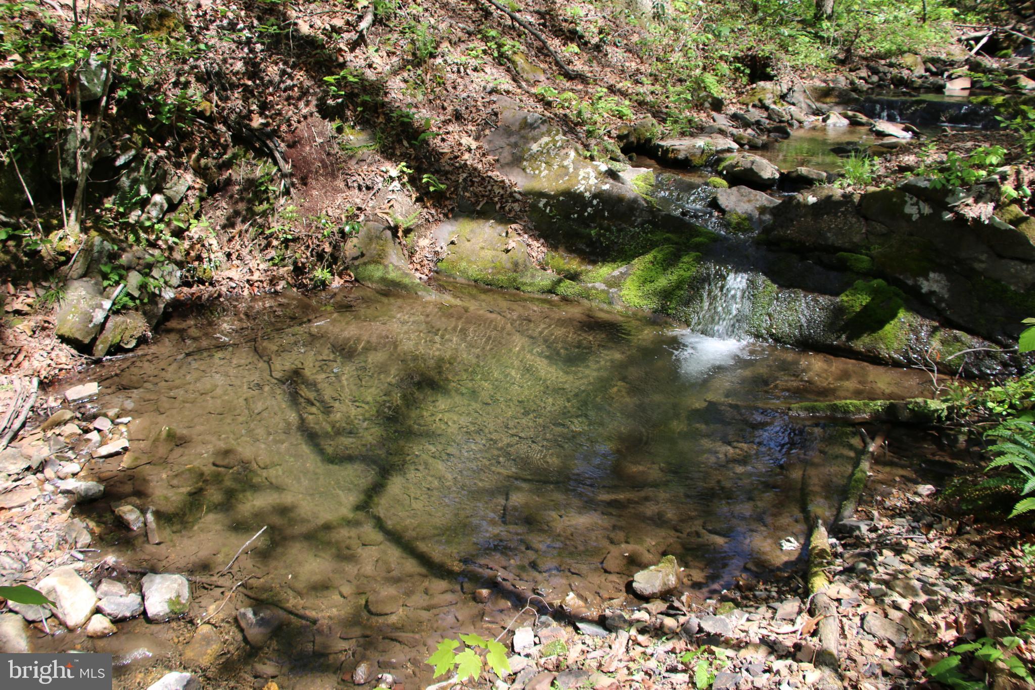Cold Spring Hollow Lane Fort Valley, VA 22652 - Photo 23 of 106