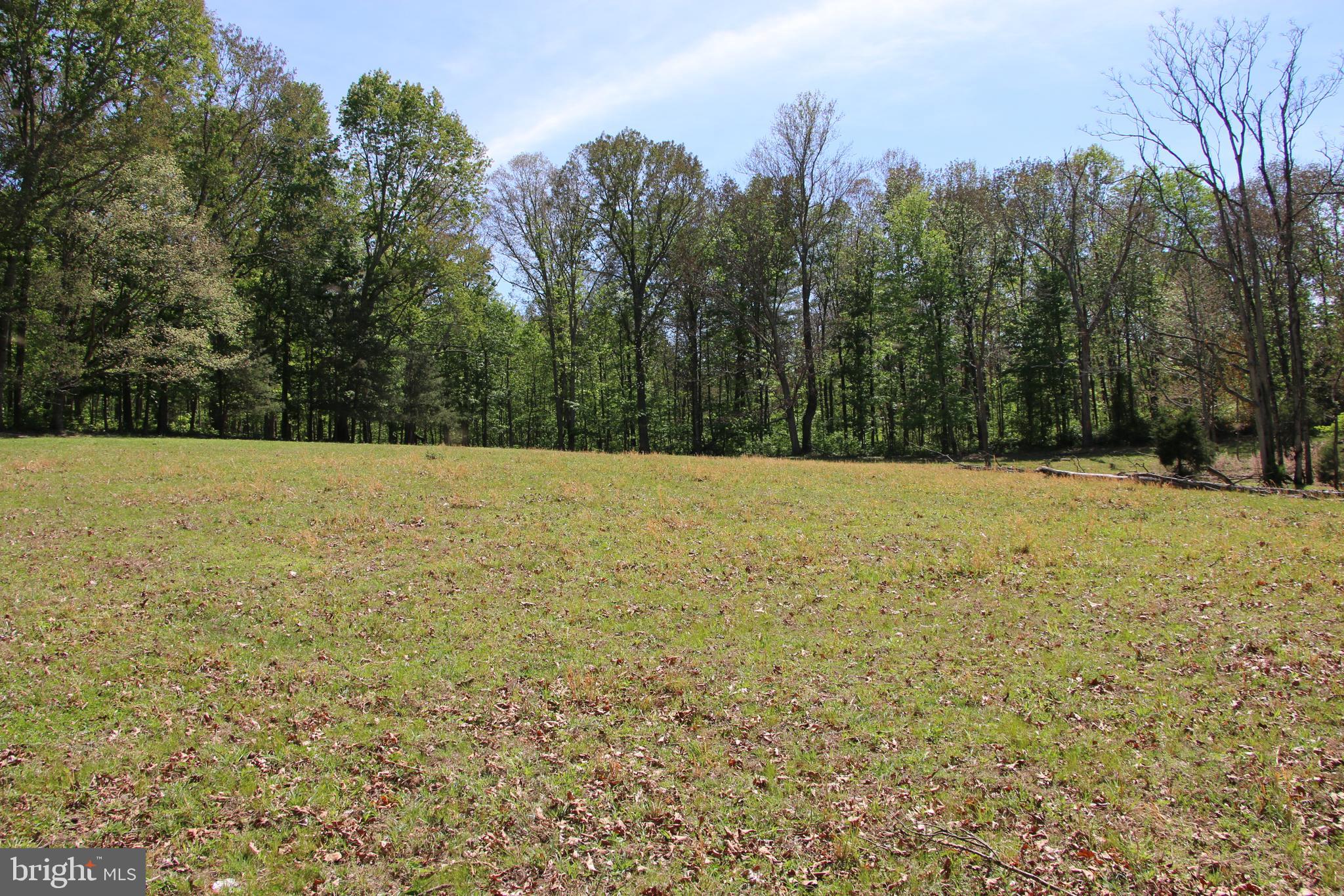 Cold Spring Hollow Lane Fort Valley, VA 22652 - Photo 24 of 106