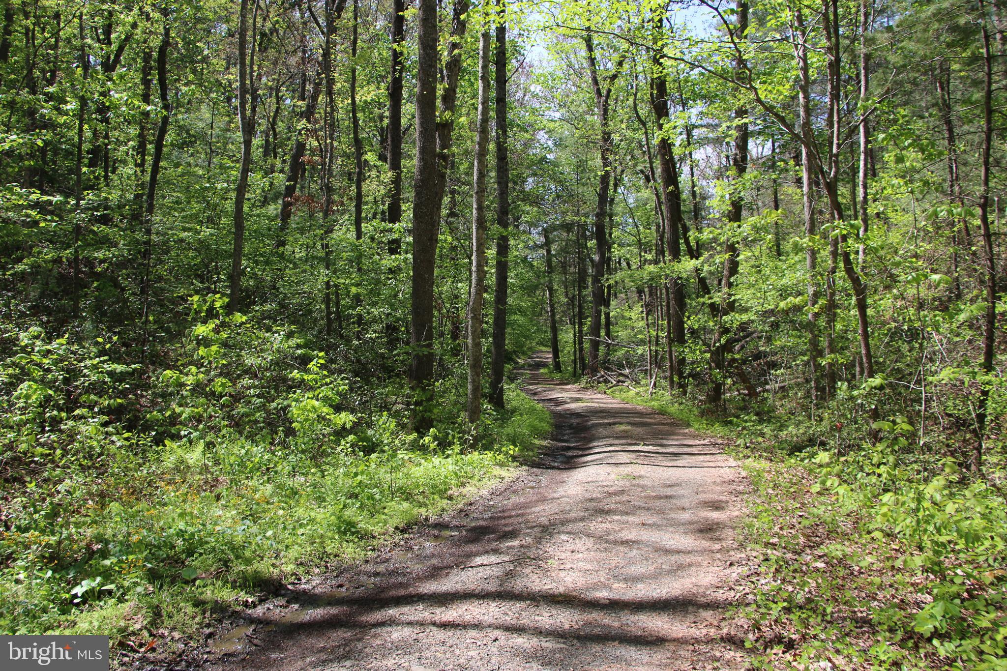 Cold Spring Hollow Lane Fort Valley, VA 22652 - Photo 25 of 106