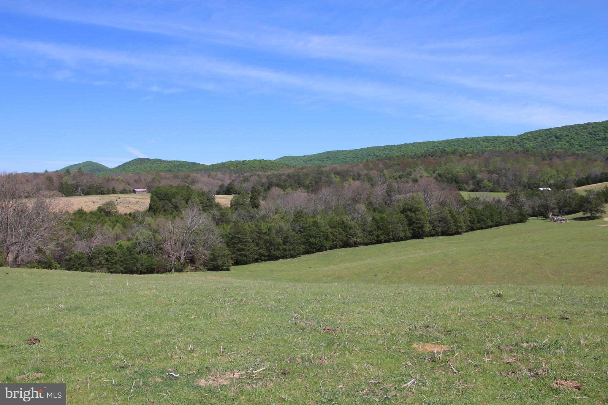 Cold Spring Hollow Lane Fort Valley, VA 22652 - Photo 26 of 106