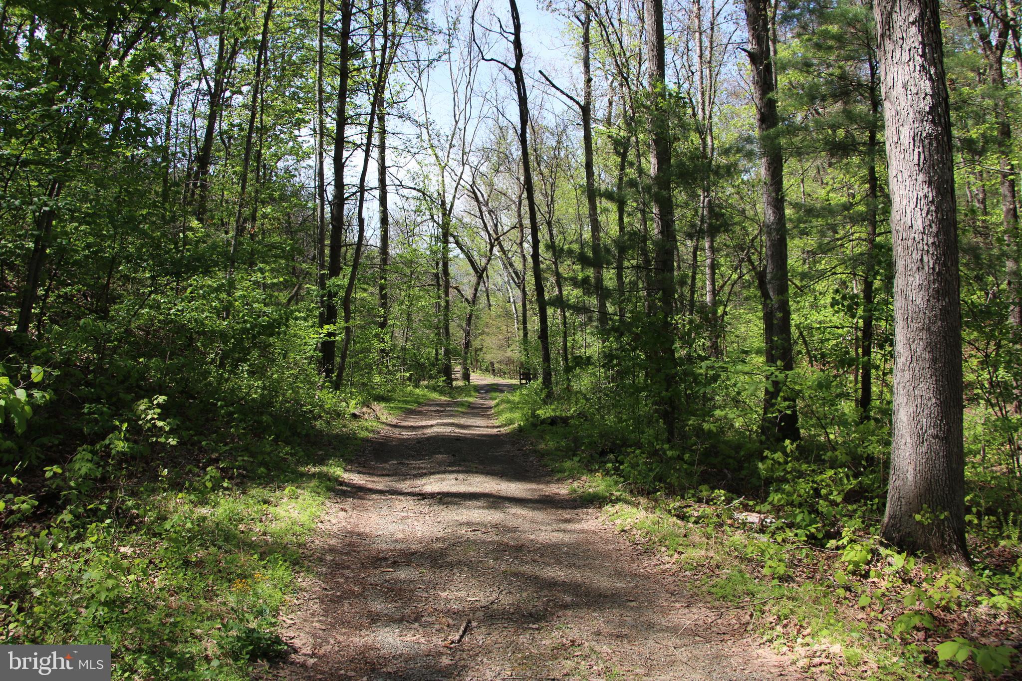 Cold Spring Hollow Lane Fort Valley, VA 22652 - Photo 27 of 106