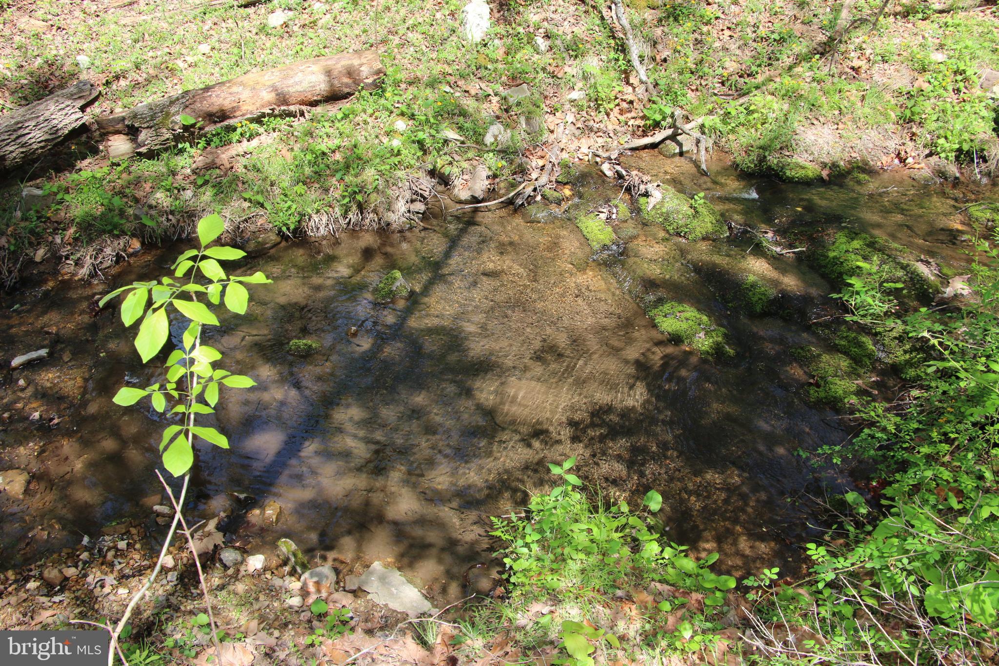 Cold Spring Hollow Lane Fort Valley, VA 22652 - Photo 28 of 106