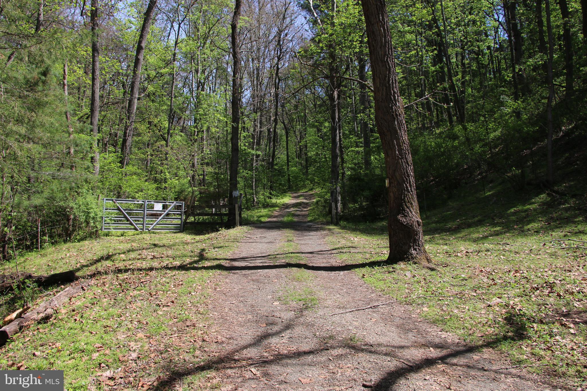 Cold Spring Hollow Lane Fort Valley, VA 22652 - Photo 29 of 106