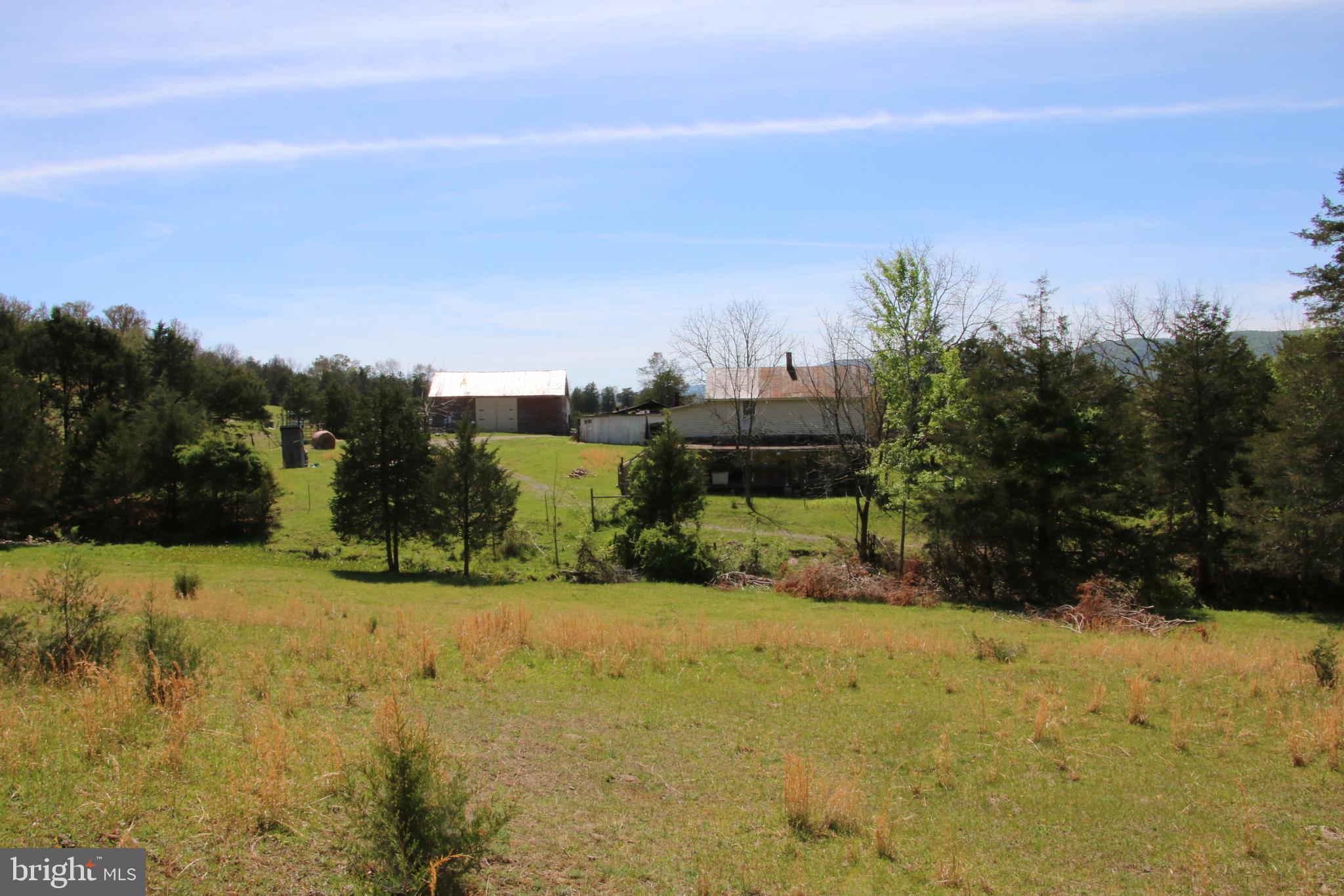Cold Spring Hollow Lane Fort Valley, VA 22652 - Photo 32 of 106