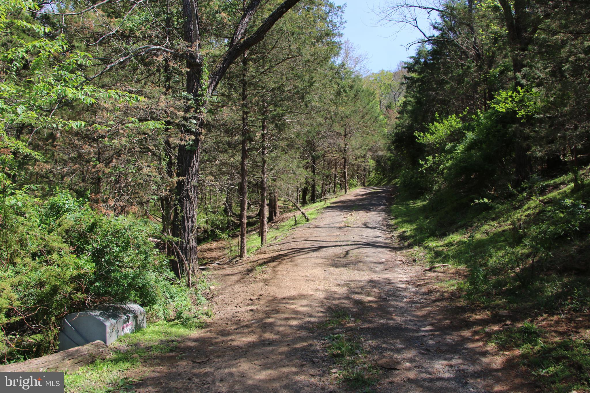 Cold Spring Hollow Lane Fort Valley, VA 22652 - Photo 33 of 106