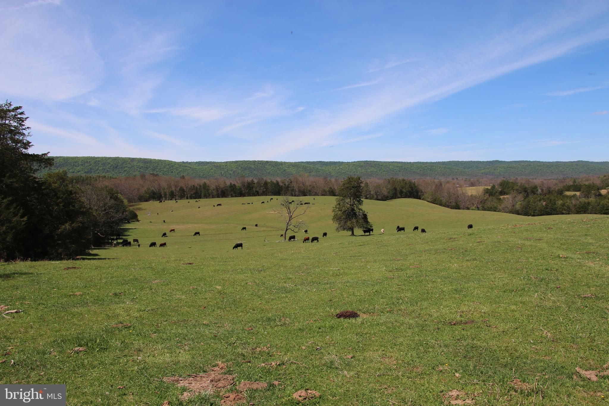 Cold Spring Hollow Lane Fort Valley, VA 22652 - Photo 34 of 106