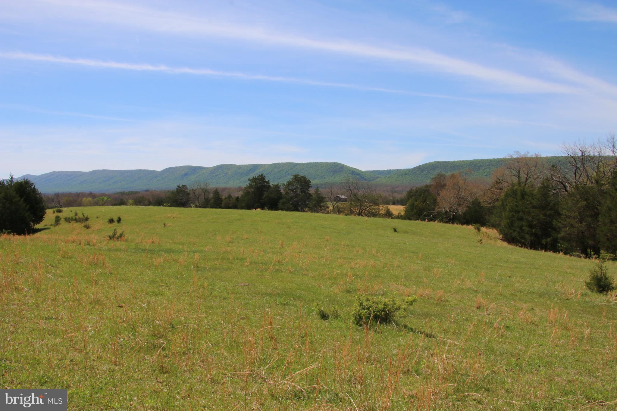 Cold Spring Hollow Lane Fort Valley, VA 22652 - Photo 36 of 106
