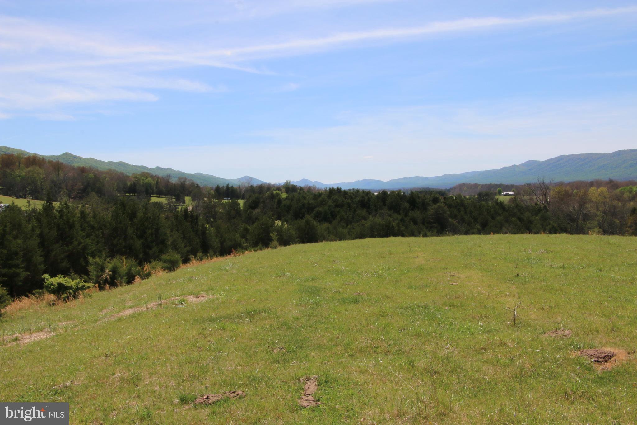 Cold Spring Hollow Lane Fort Valley, VA 22652 - Photo 38 of 106