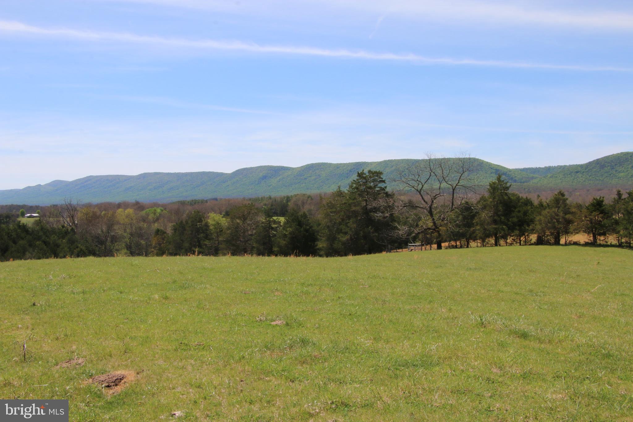 Cold Spring Hollow Lane Fort Valley, VA 22652 - Photo 40 of 106
