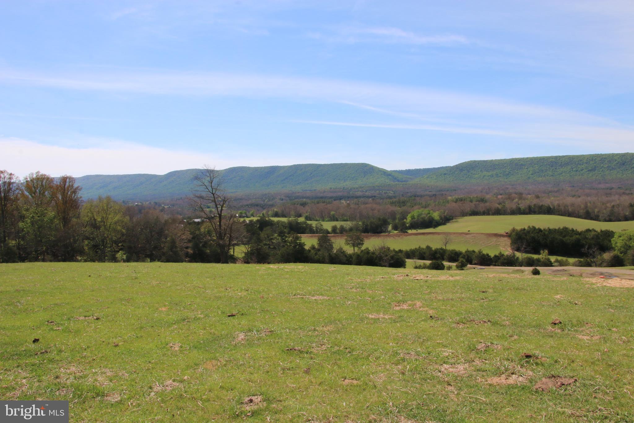 Cold Spring Hollow Lane Fort Valley, VA 22652 - Photo 4 of 106