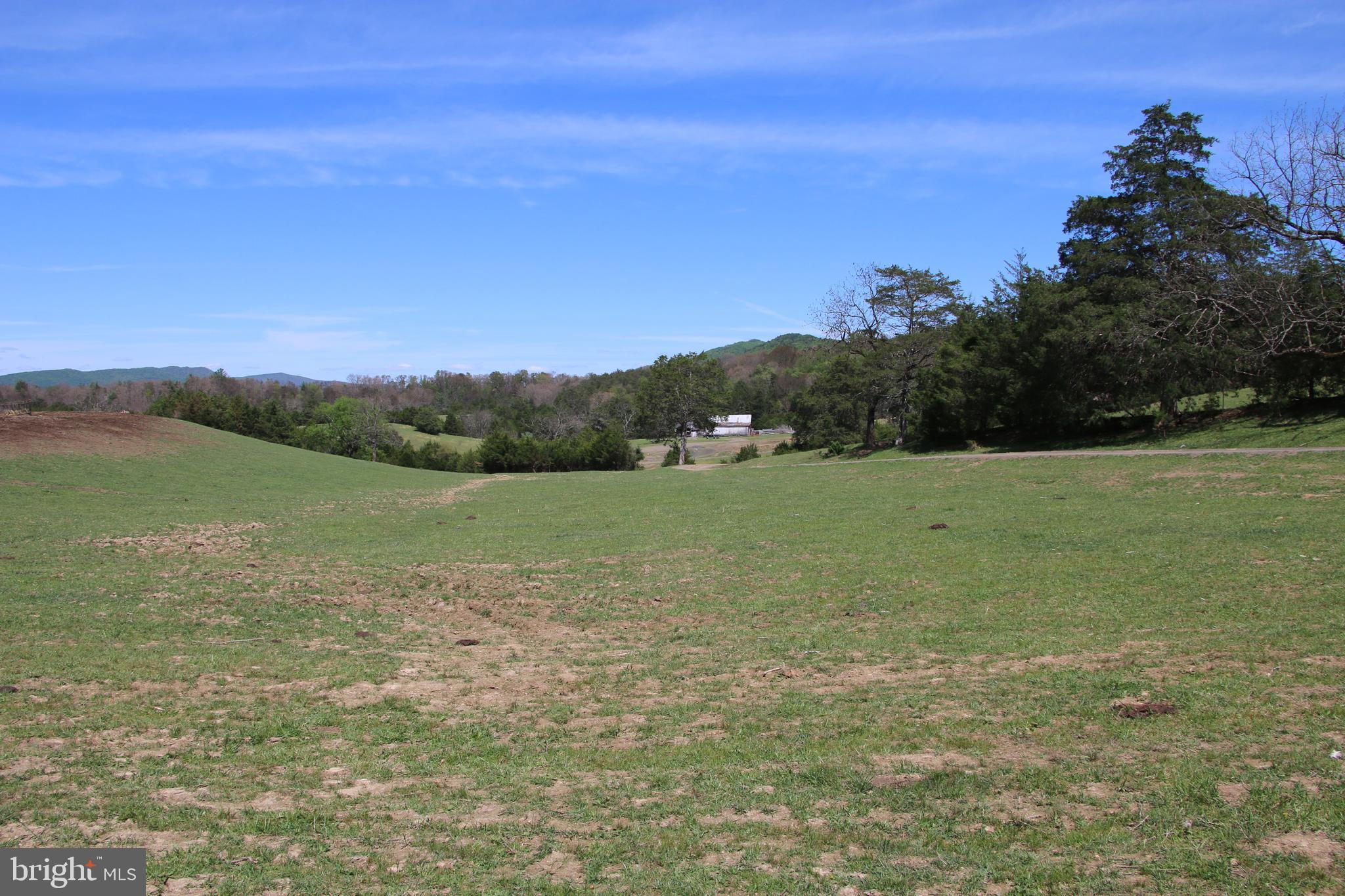 Cold Spring Hollow Lane Fort Valley, VA 22652 - Photo 42 of 106