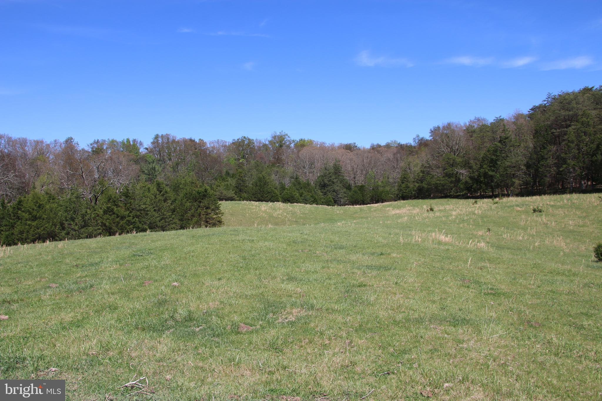 Cold Spring Hollow Lane Fort Valley, VA 22652 - Photo 44 of 106