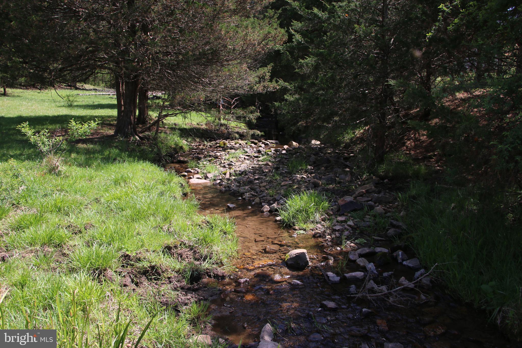 Cold Spring Hollow Lane Fort Valley, VA 22652 - Photo 45 of 106