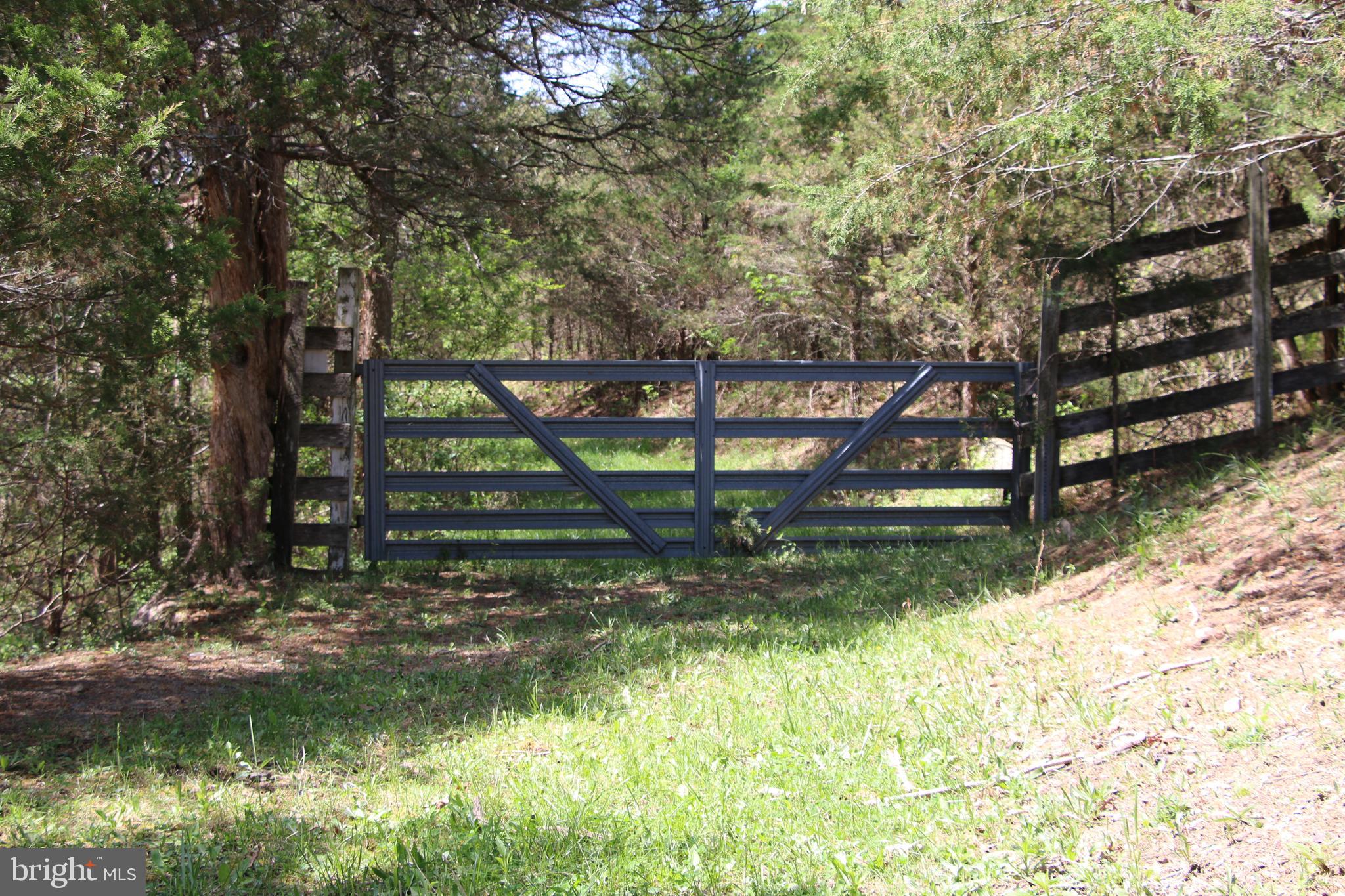 Cold Spring Hollow Lane Fort Valley, VA 22652 - Photo 46 of 106