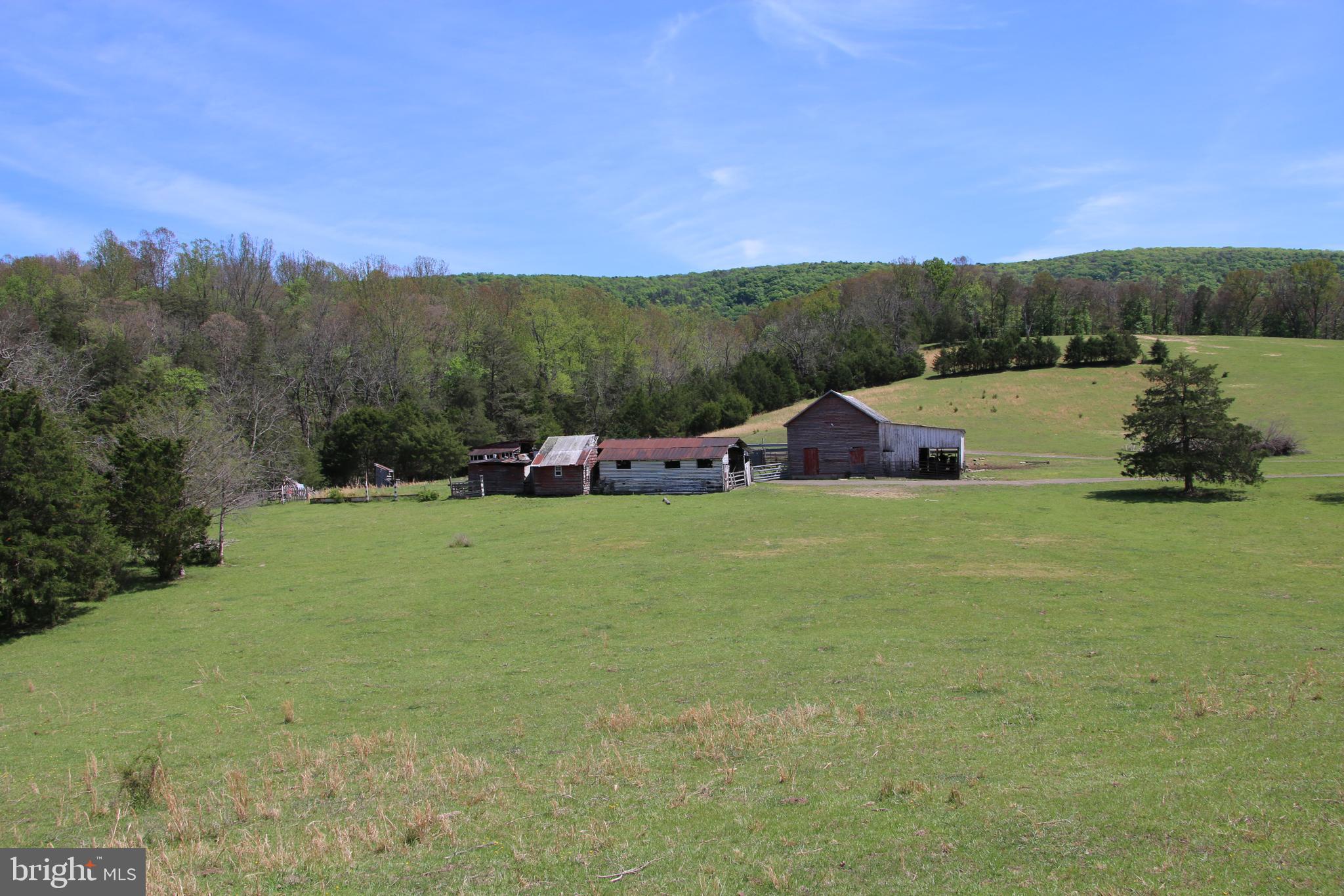 Cold Spring Hollow Lane Fort Valley, VA 22652 - Photo 47 of 106