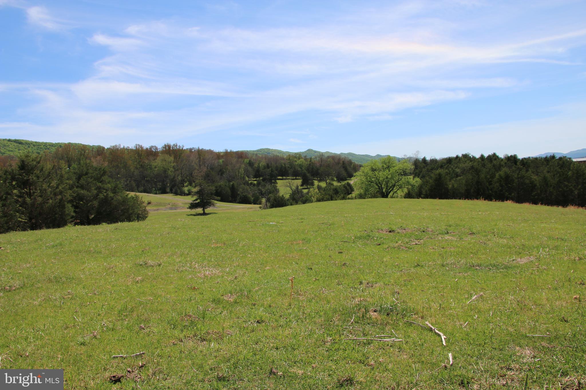 Cold Spring Hollow Lane Fort Valley, VA 22652 - Photo 48 of 106