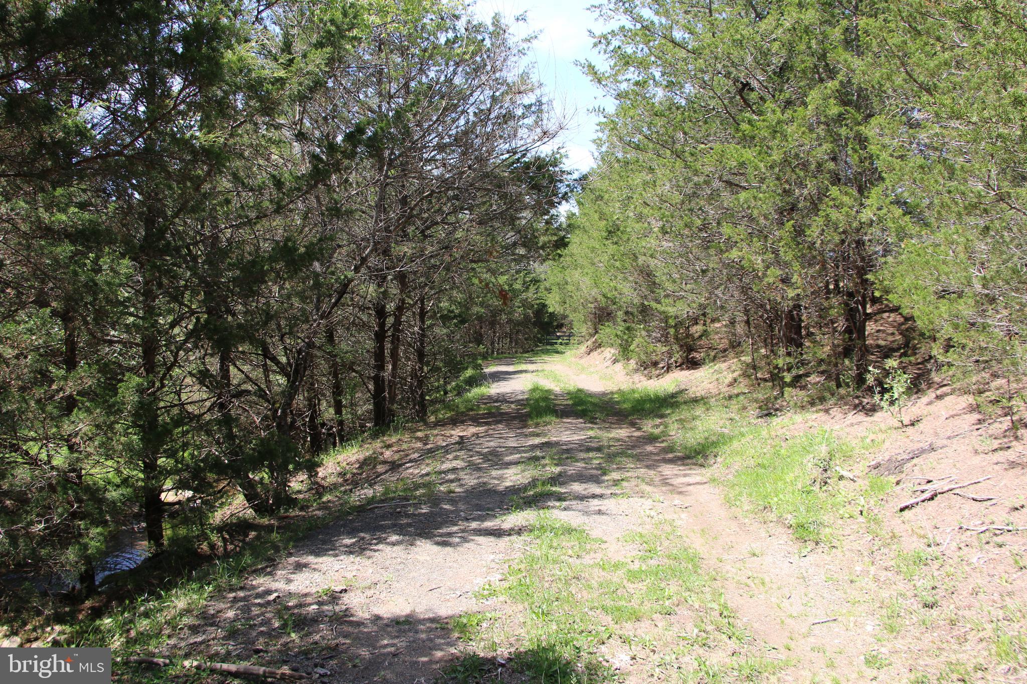 Cold Spring Hollow Lane Fort Valley, VA 22652 - Photo 49 of 106