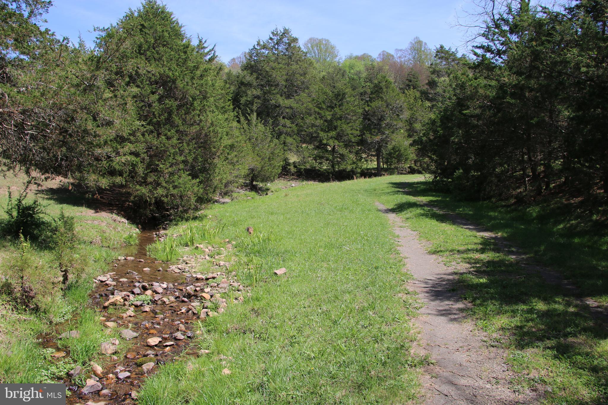 Cold Spring Hollow Lane Fort Valley, VA 22652 - Photo 52 of 106