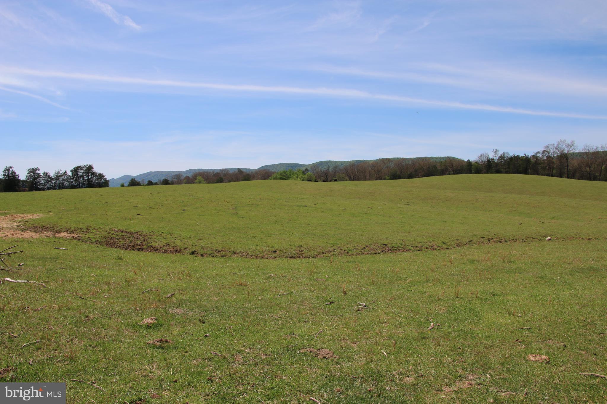 Cold Spring Hollow Lane Fort Valley, VA 22652 - Photo 53 of 106