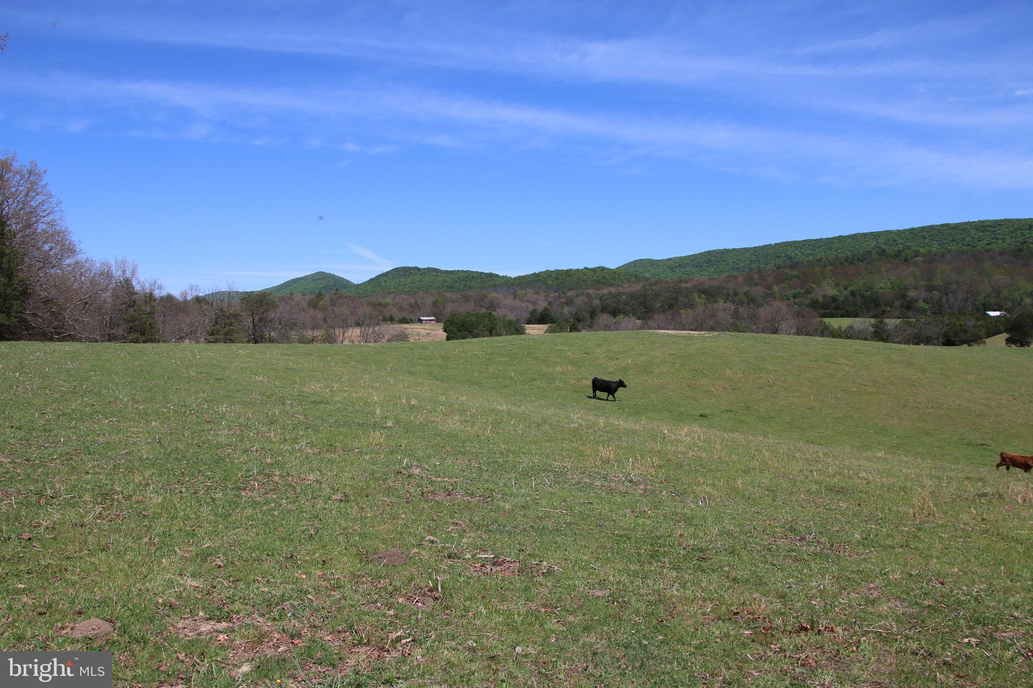 Cold Spring Hollow Lane Fort Valley, VA 22652 - Photo 55 of 106