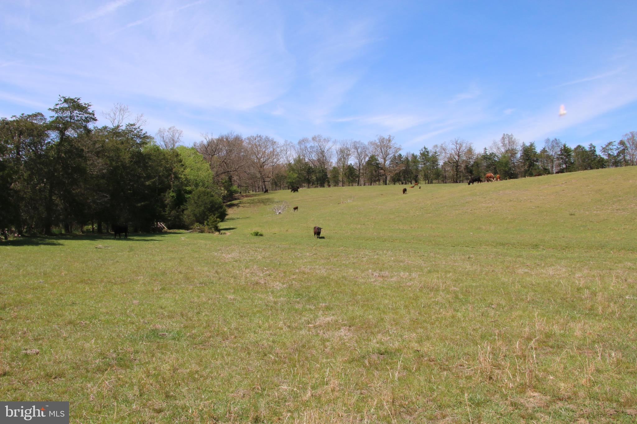 Cold Spring Hollow Lane Fort Valley, VA 22652 - Photo 59 of 106