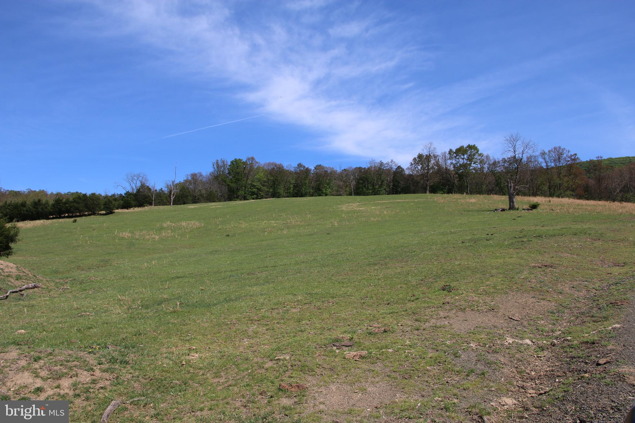 Cold Spring Hollow Lane Fort Valley, VA 22652 - Photo 6 of 106