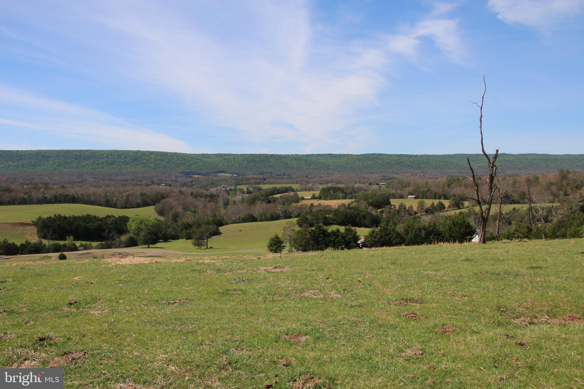 Cold Spring Hollow Lane Fort Valley, VA 22652 - Photo 8 of 106