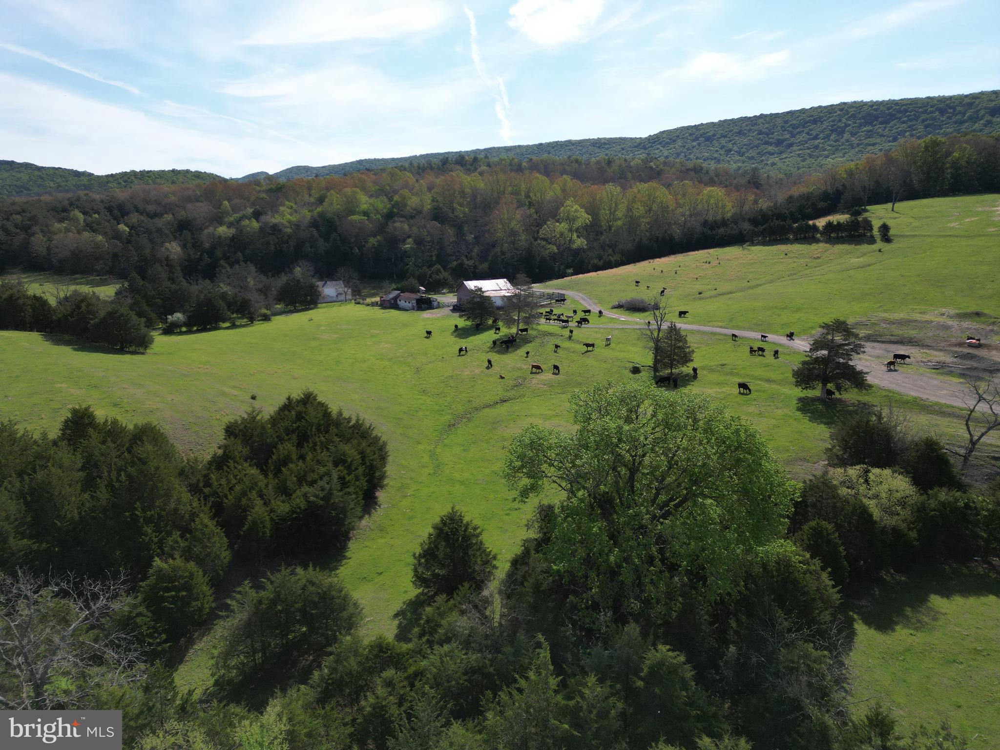 Cold Spring Hollow Lane Fort Valley, VA 22652 - Photo 86 of 106