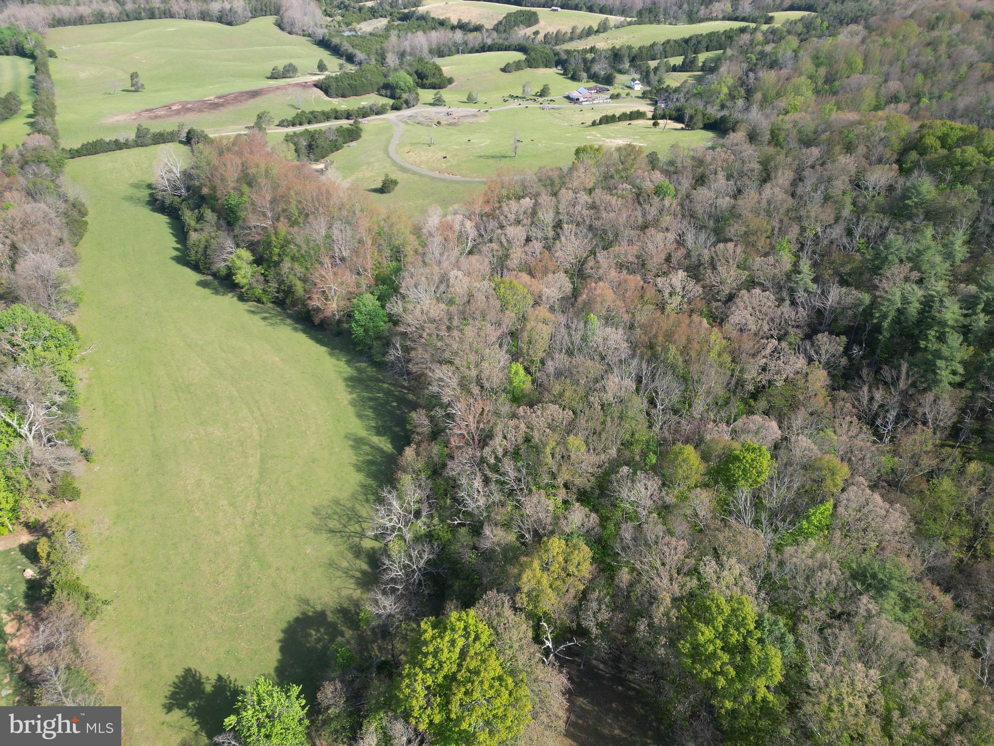 Cold Spring Hollow Lane Fort Valley, VA 22652 - Photo 87 of 106