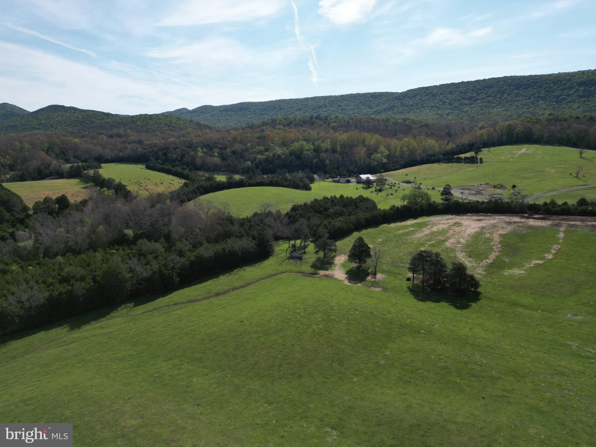 Cold Spring Hollow Lane Fort Valley, VA 22652 - Photo 88 of 106